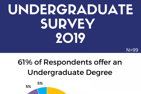 Undergraduate Survey Results