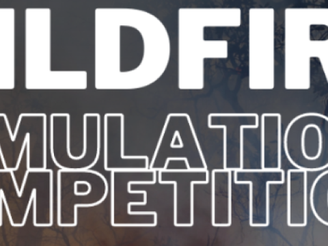 Wildfire