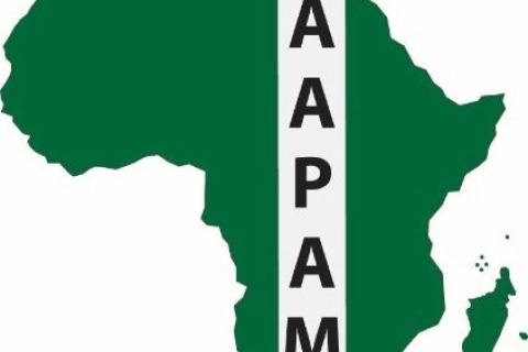 AAPAM Logo