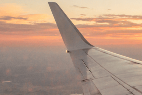 Airplane wing