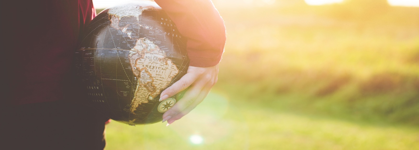 Globe and Grass