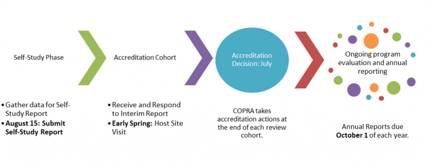 Review Cohort Cycle