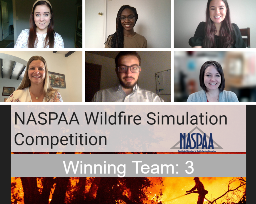Virtual Site Winning Team