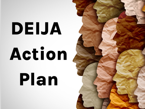Text reads DEIJA Action plan on the left.  On the right there are paper crinkled side silhouettes in a variety of skins colors 